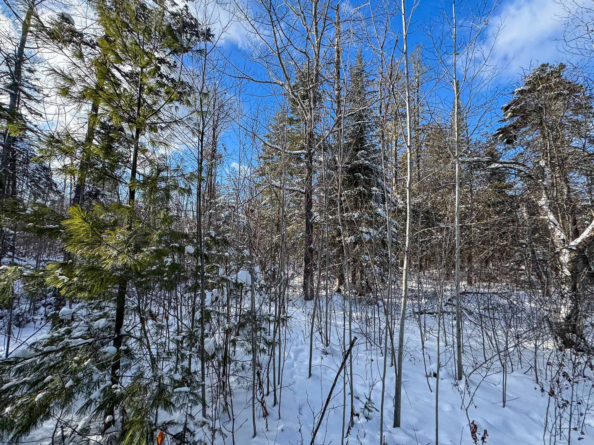 Private Home on 40 Acres – Stacyville, ME