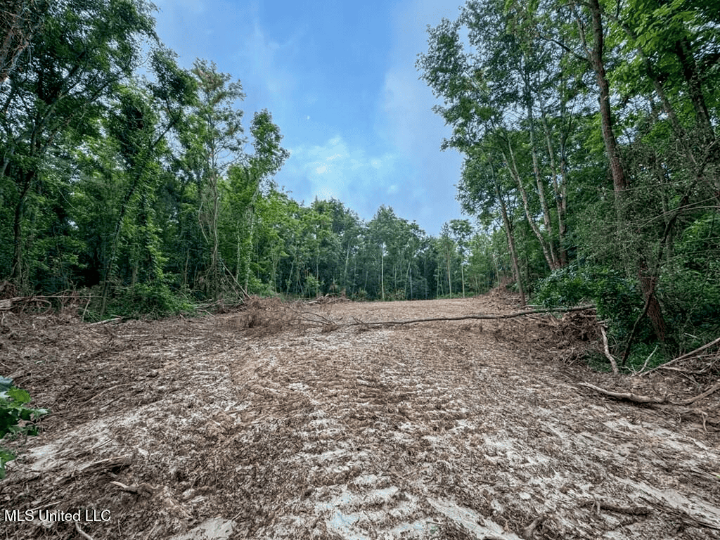 Roxie Mississippi – 94 Acre Recreational Retreat