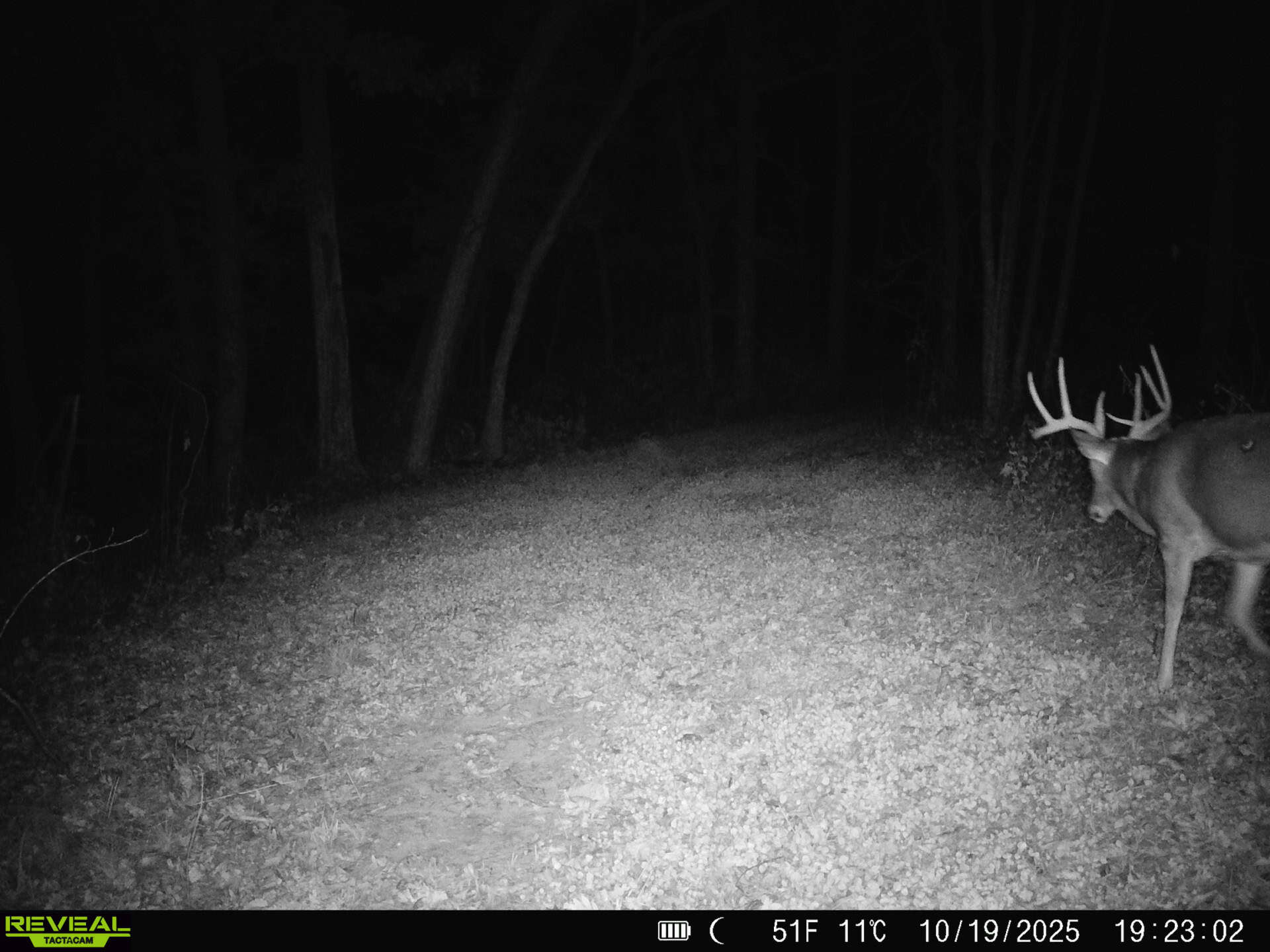 100 +/- Acre Ridge-Top Driftless Retreat in Crawford County WI