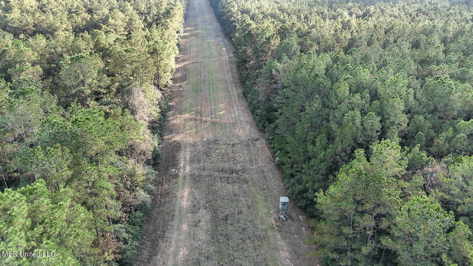 Prime Hunting Property in St Helena Parish, LA