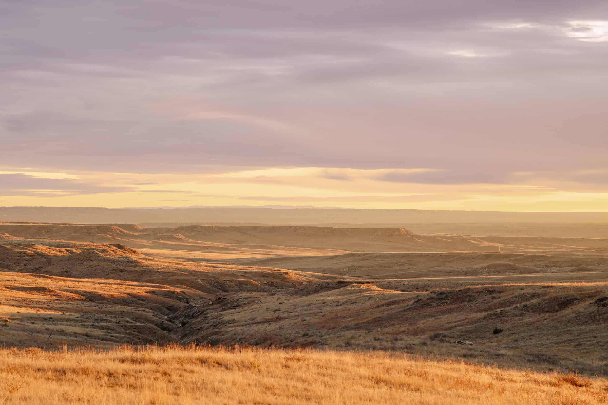 S Bar Ranch – 19,816± Acres North of Custer, Yellowstone County, Montana