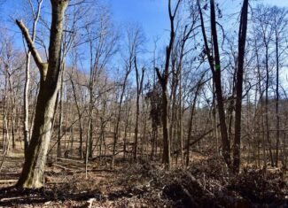 Warrick County IN Hunting and Recreational Property For Sale
