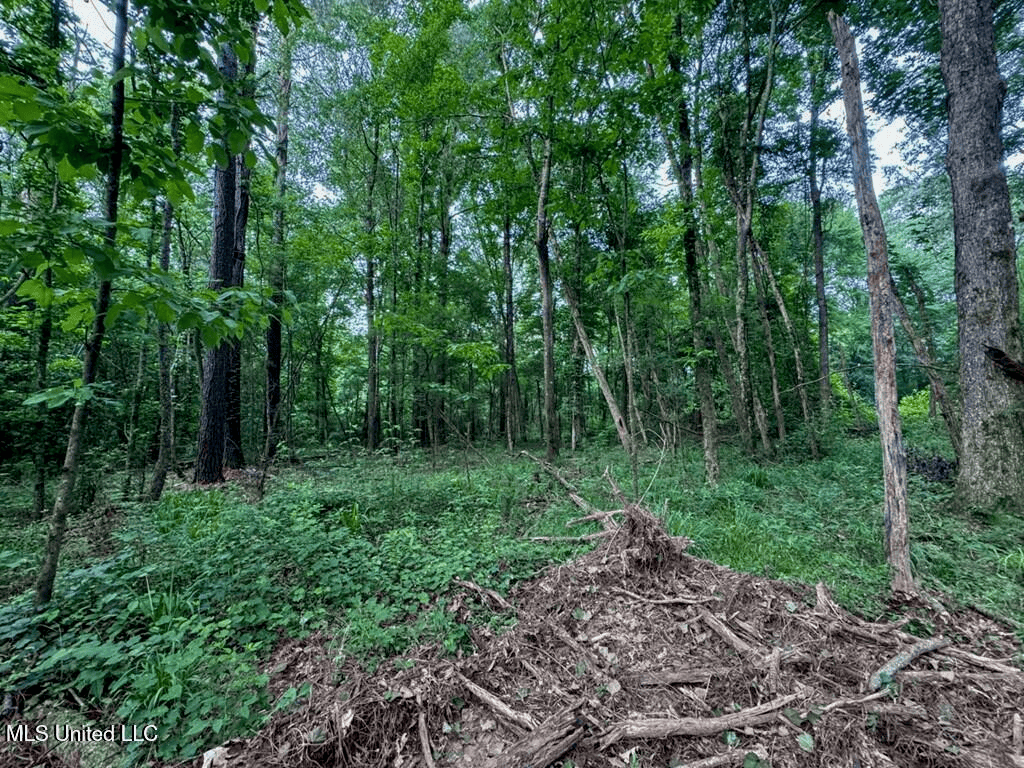 Roxie Mississippi – 94 Acre Recreational Retreat