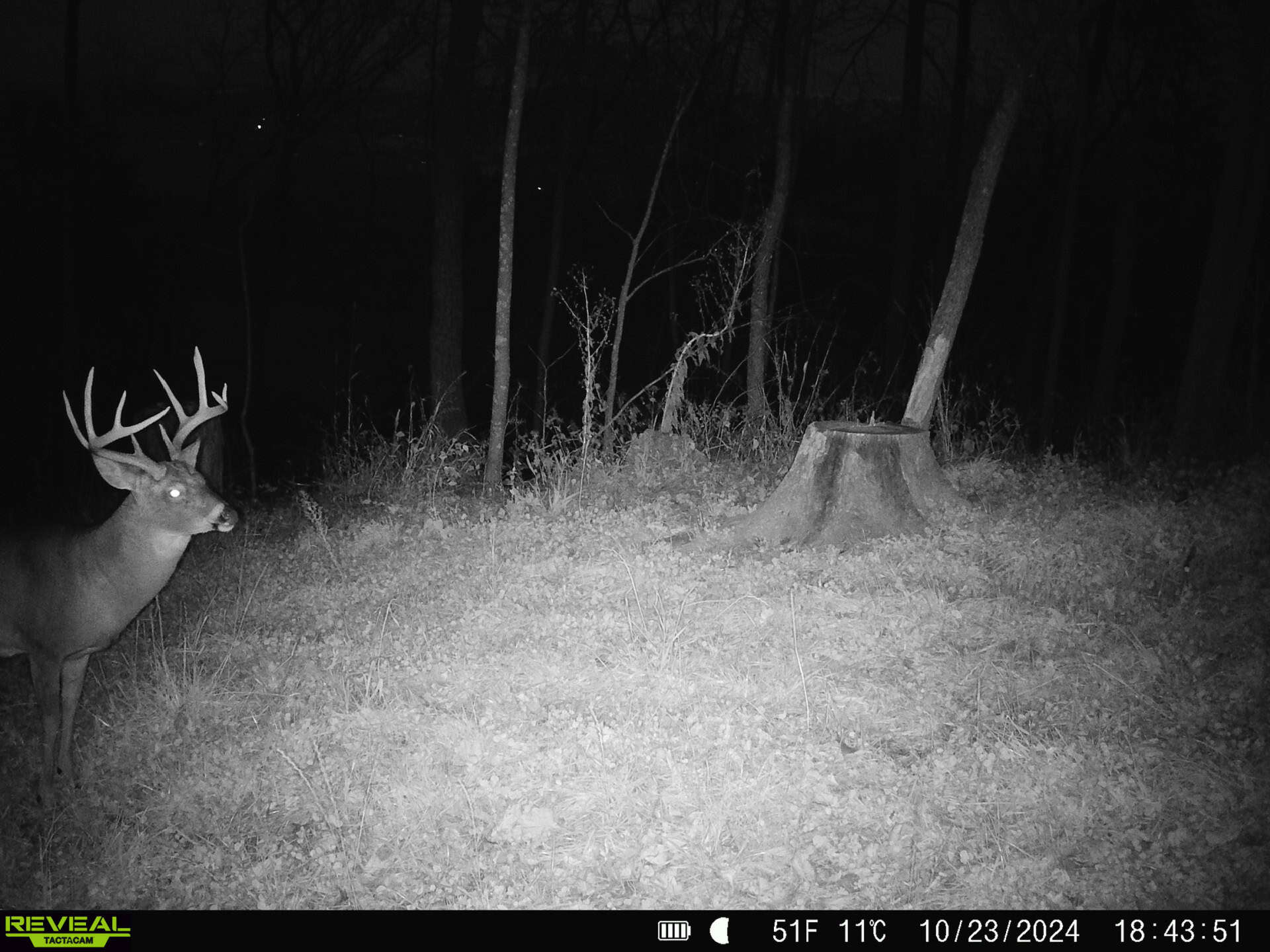 57+/- Acre Retreat in Wisconsin’s Driftless Area, Crawford County