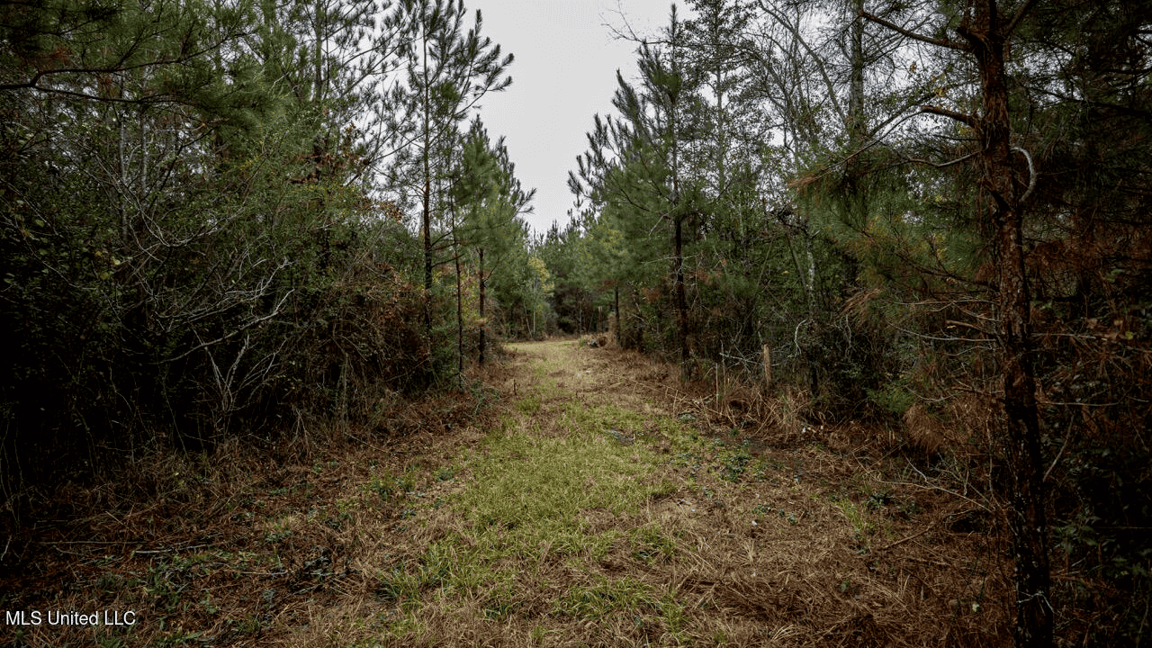 Asilo Farms on Bala Chitto Creek, Southwest Mississippi