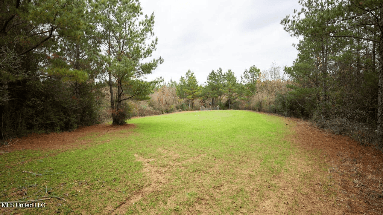 283± Acres for Sale Amite County, Mississippi