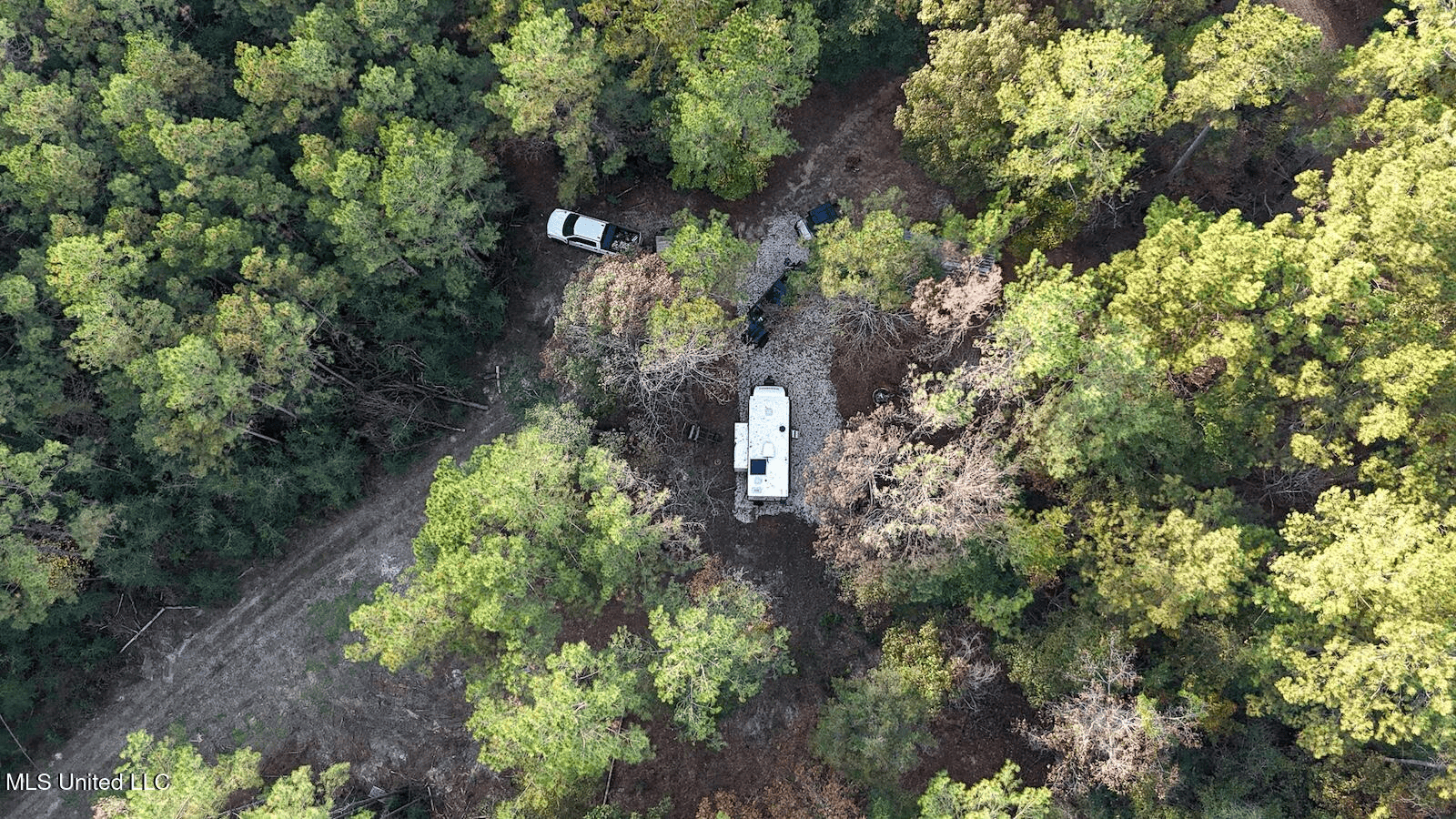 Prime Hunting Property in St Helena Parish, LA