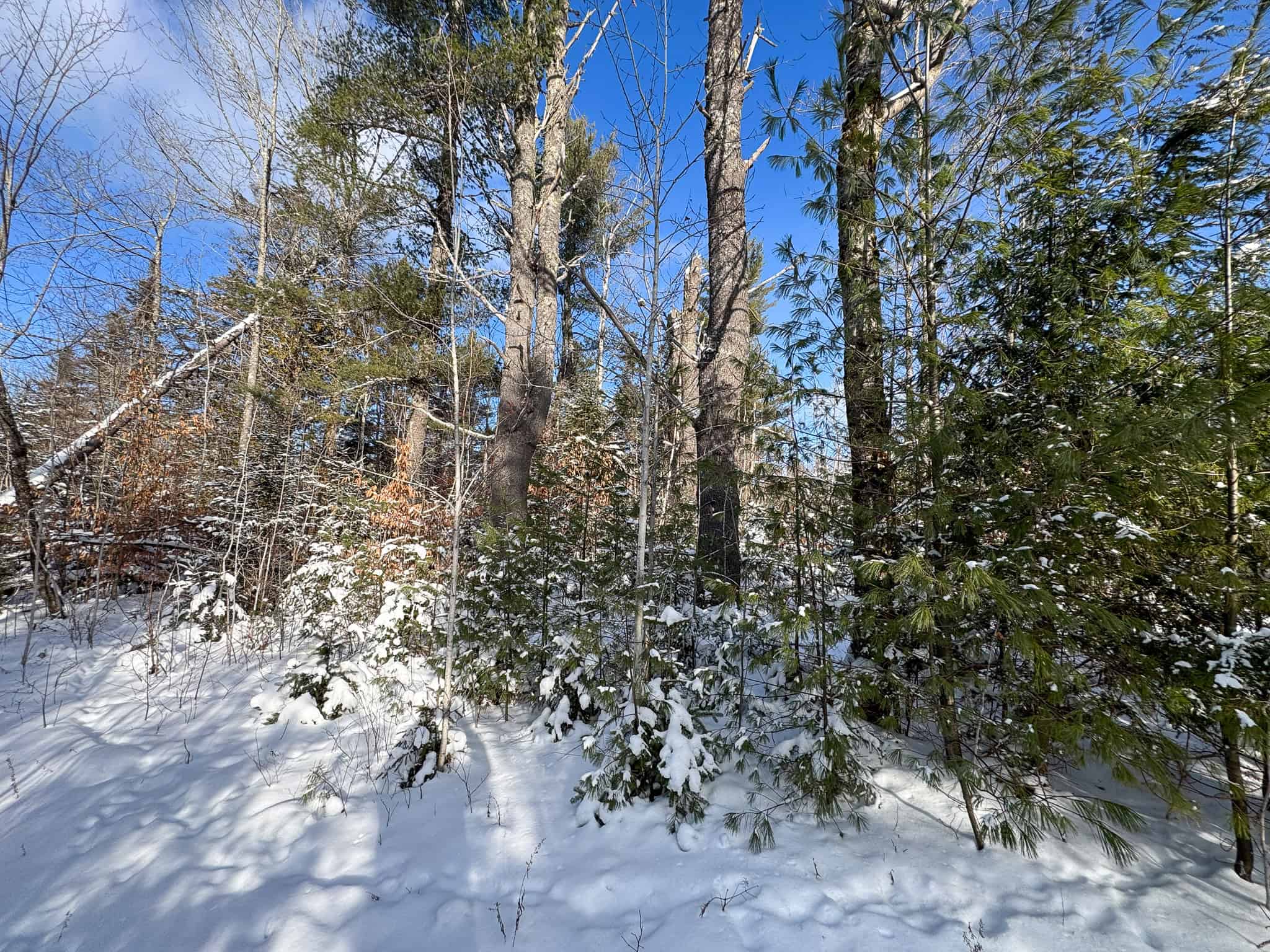 Private Home on 40 Acres – Stacyville, ME
