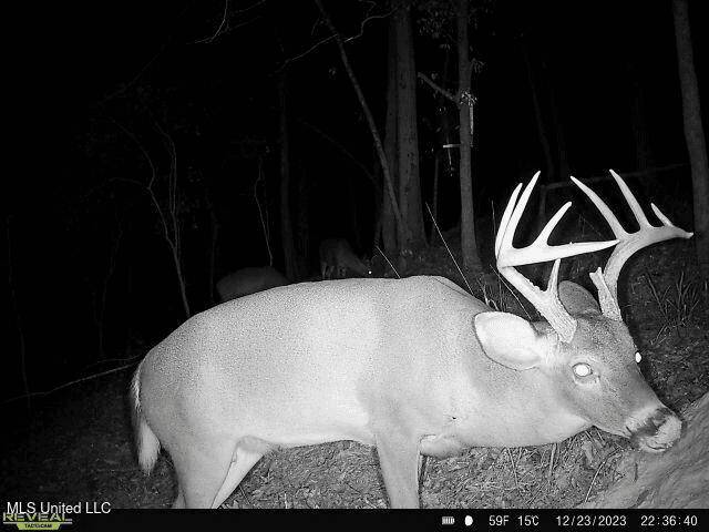 Wilkinson County 60-Acre Turn-Key Solar Hunting Camp