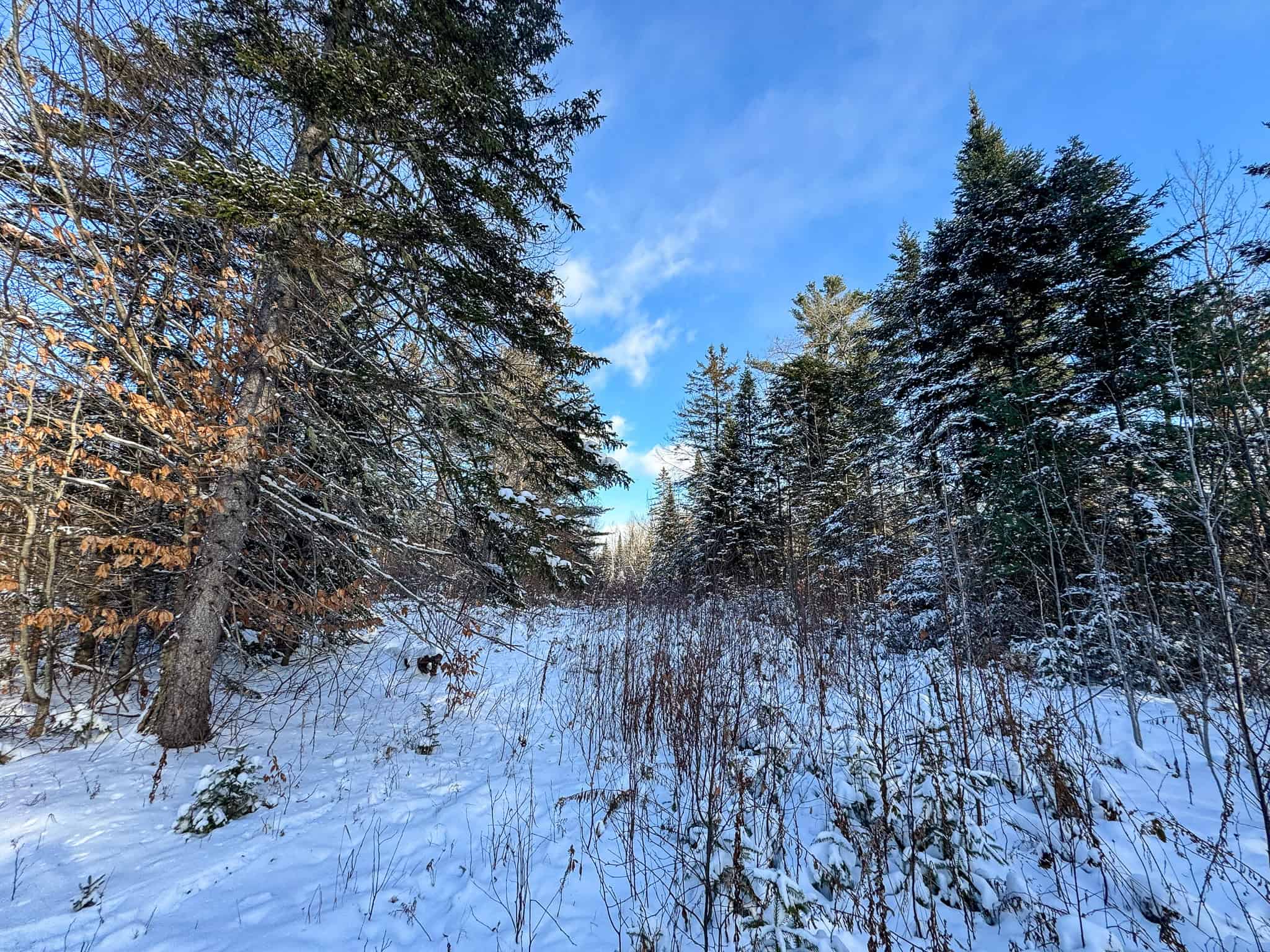 Private Home on 40 Acres – Stacyville, ME