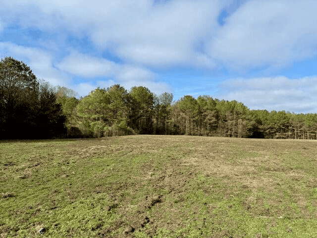 Timberland Farmland For Sale Clay County MS