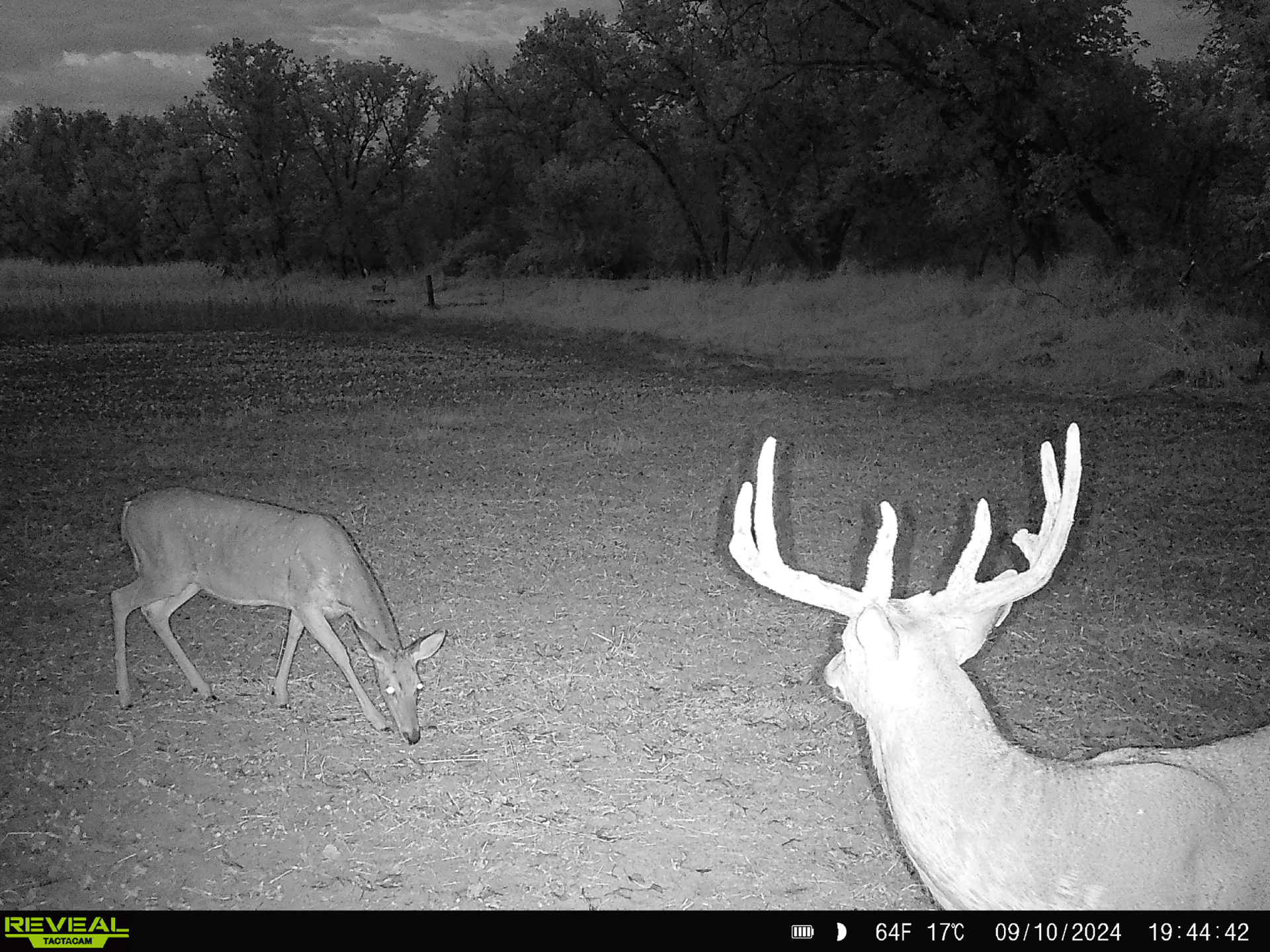 57+/- Acre Retreat in Wisconsin’s Driftless Area, Crawford County