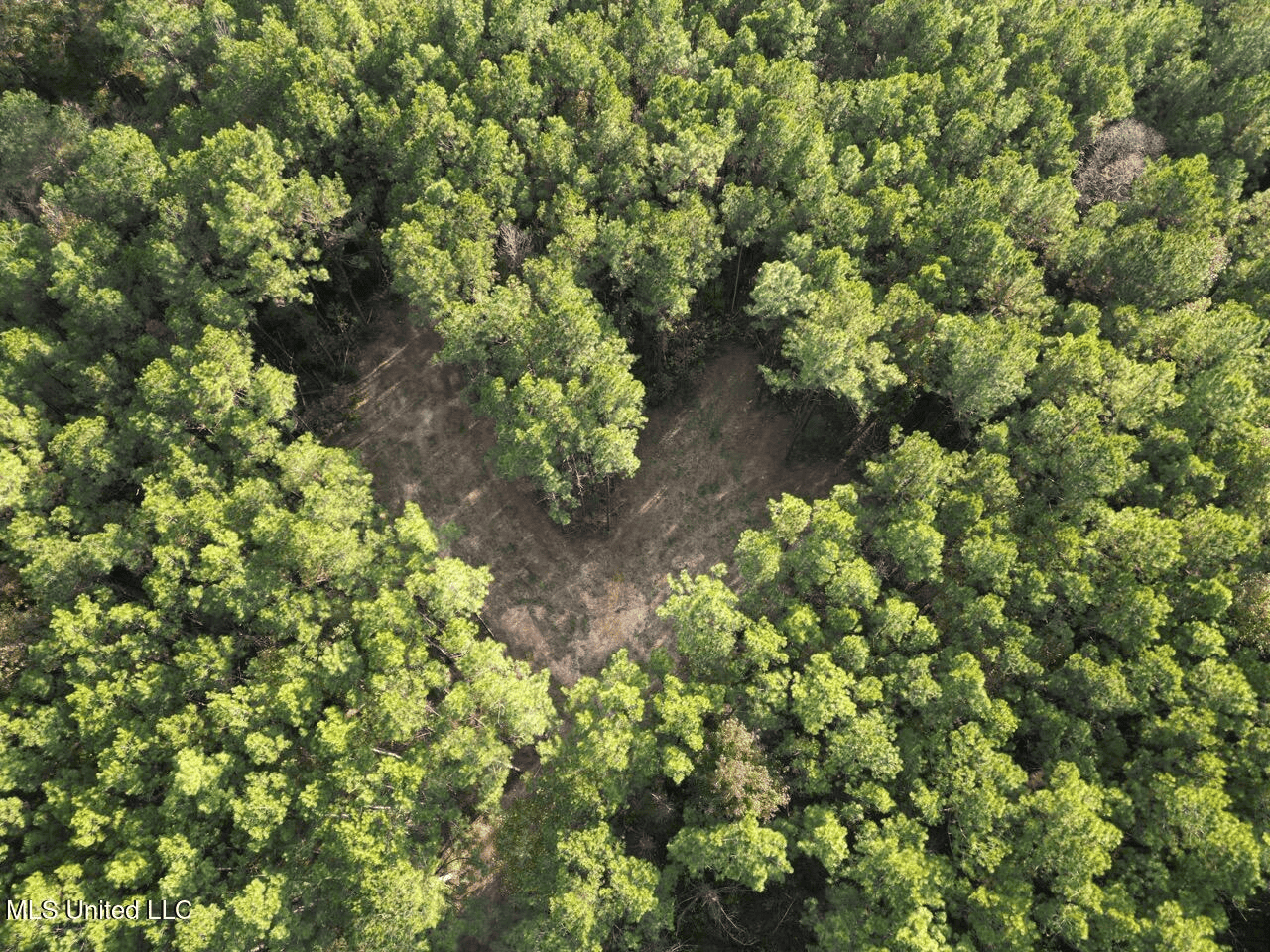 Wilkinson County 60-Acre Turn-Key Solar Hunting Camp