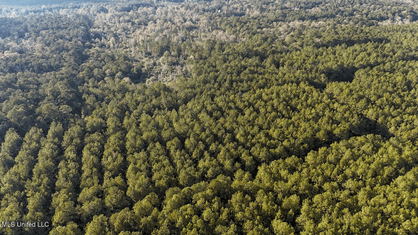 Prime Hunting Property in St Helena Parish, LA