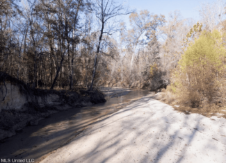 84.5 Acres in Woodville, MS on Hwy 24 with Creeks