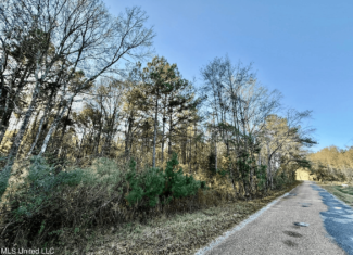 10 Acres Wooded Homesite & Hunting Tract in Smithdale, MS