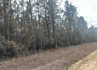 Hunting and Timberland w/ Homesite Potential Trout LA