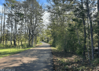 39.7 Acres in Brookhaven MS