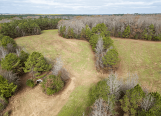 Timberland Farmland For Sale Clay County MS