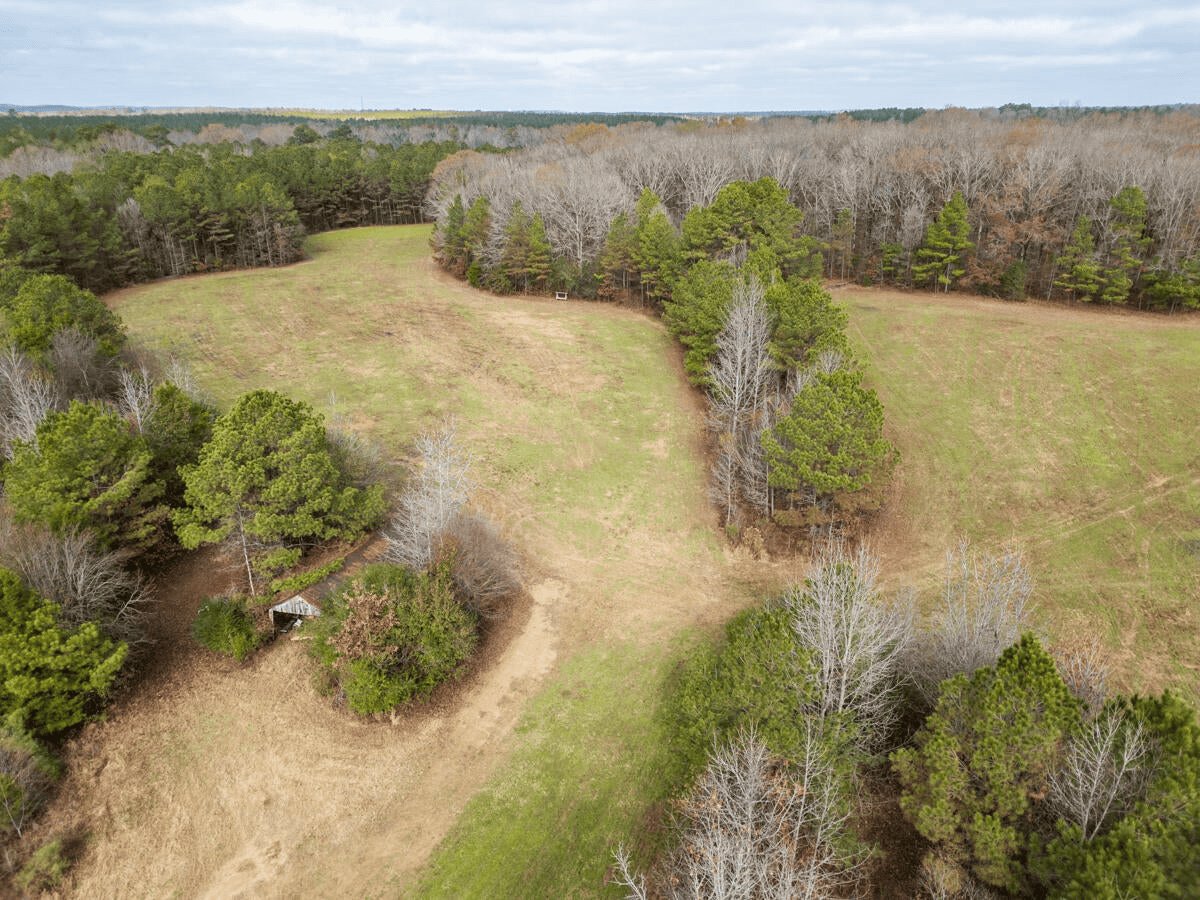 Timberland Farmland For Sale Clay County MS