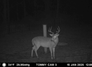 Asilo Farms on Bala Chitto Creek, Southwest Mississippi
