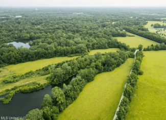 159 Acres in Port Hudson, Louisiana