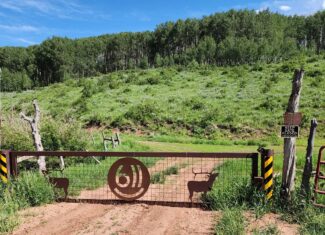 Colorado Hunting Land for Sale