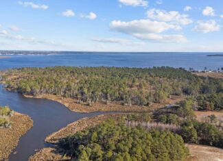 Prime 112-Acre Pungo River Waterfront Land for Sale