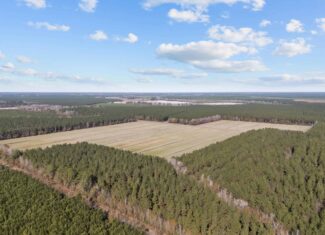 125 Acres of Farmland & Timberland on Tuten Road for Sale