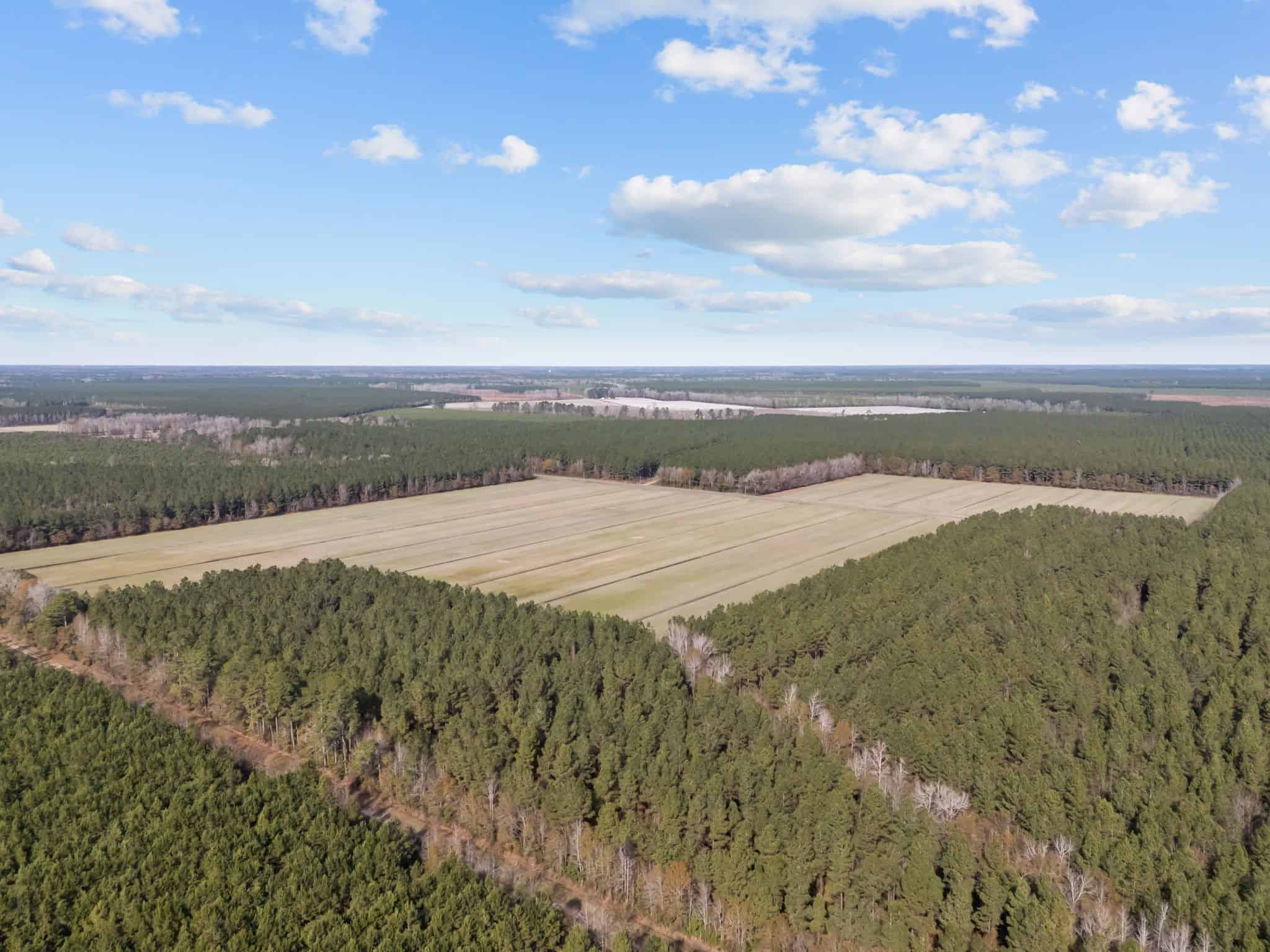 125 Acres of Farmland & Timberland on Tuten Road for Sale