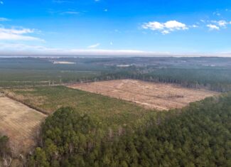 51-Acre Timber & Hunting Tract on Blounts Creek, NC