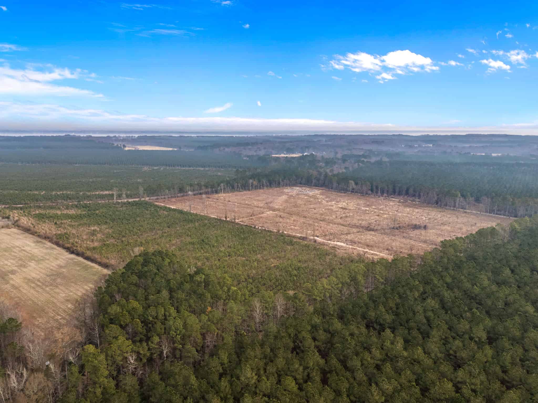 51-Acre Timber & Hunting Tract on Blounts Creek, NC