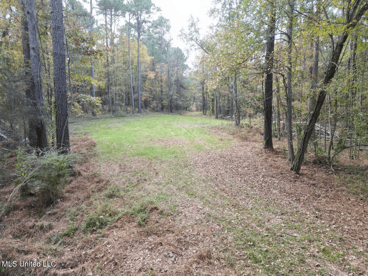 Roxie Mississippi – 94 Acre Recreational Retreat