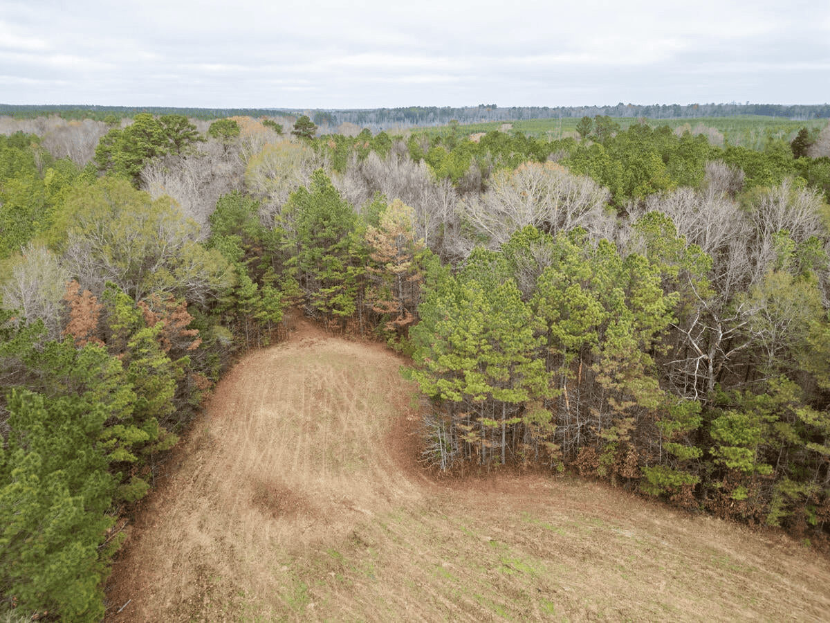 Timberland Farmland For Sale Clay County MS
