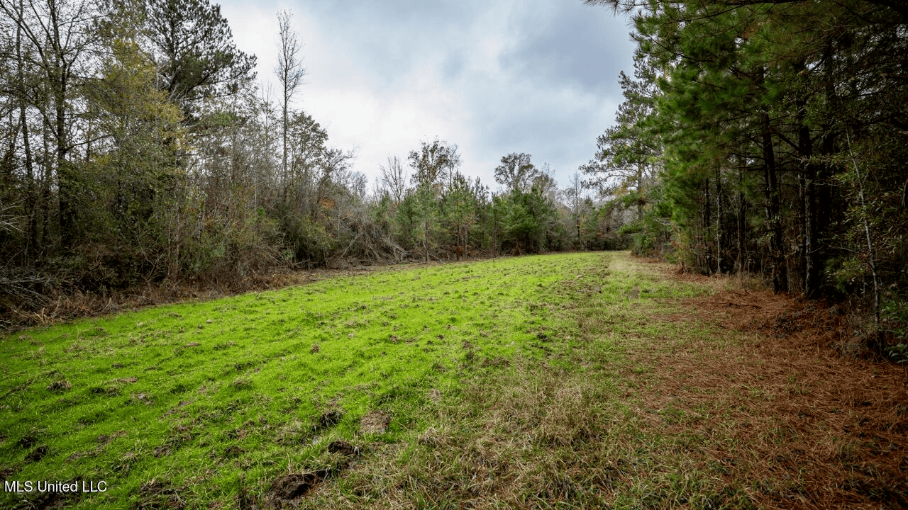 Asilo Farms on Bala Chitto Creek, Southwest Mississippi