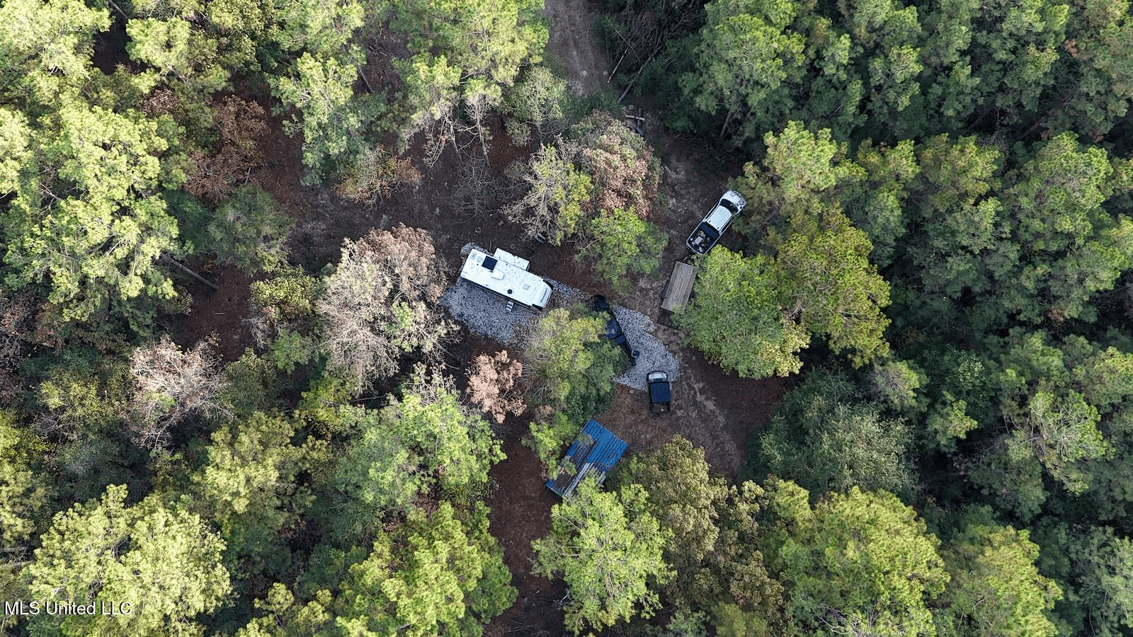 Prime Hunting Property in St Helena Parish, LA