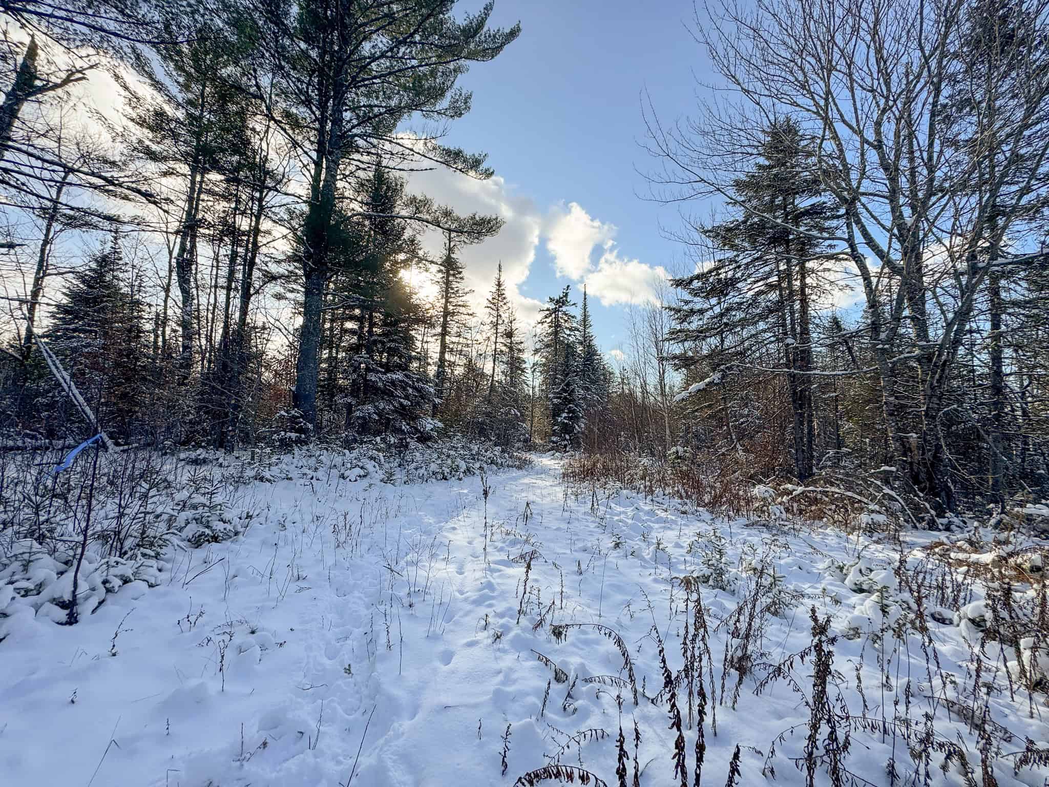 Private Home on 40 Acres – Stacyville, ME