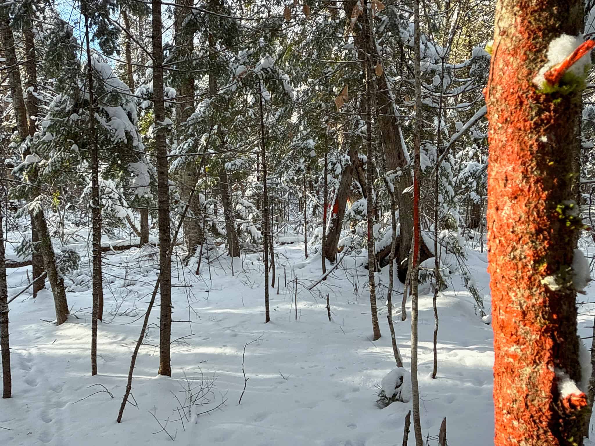 Private Home on 40 Acres – Stacyville, ME