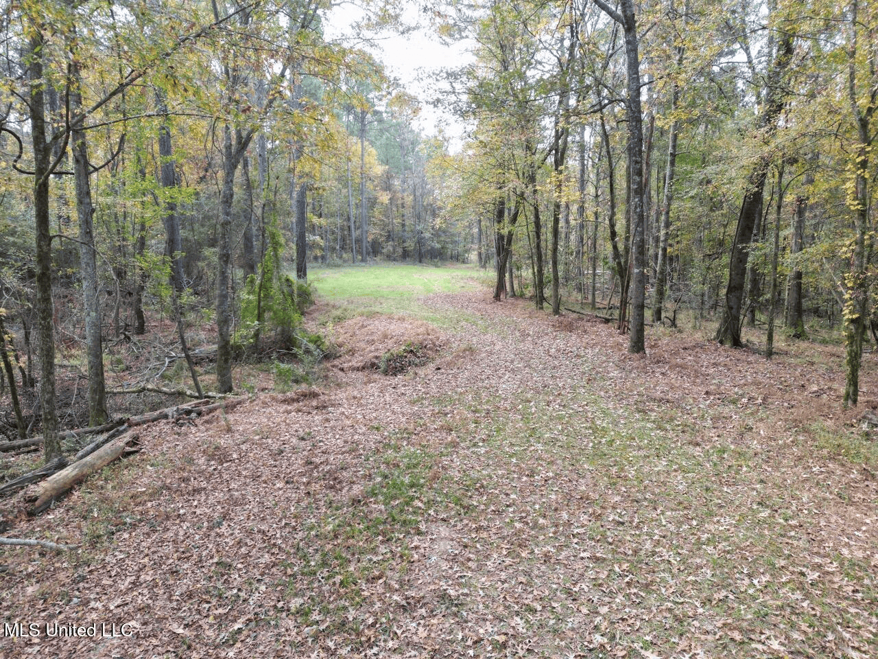 Roxie Mississippi – 94 Acre Recreational Retreat