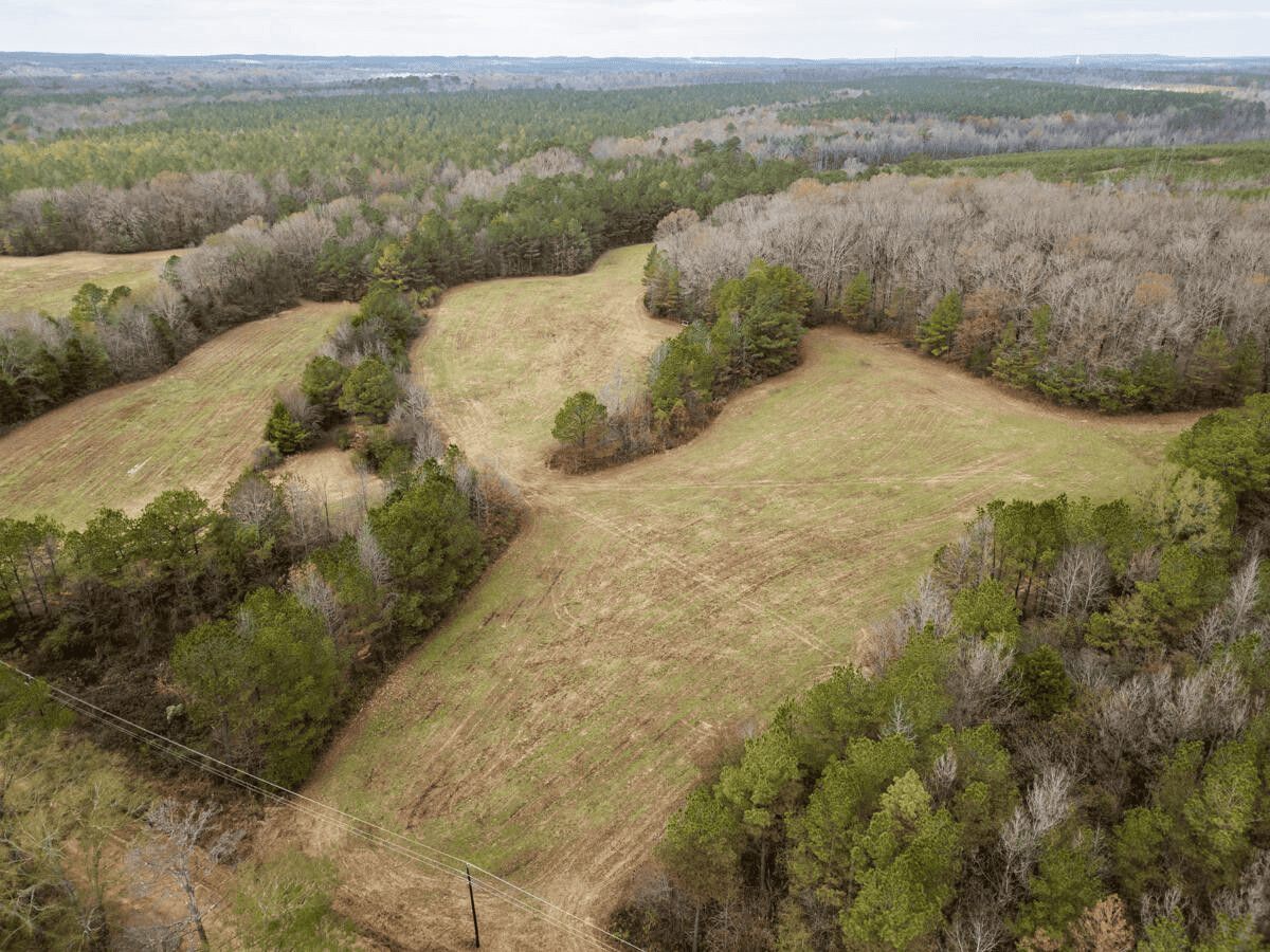 Timberland Farmland For Sale Clay County MS