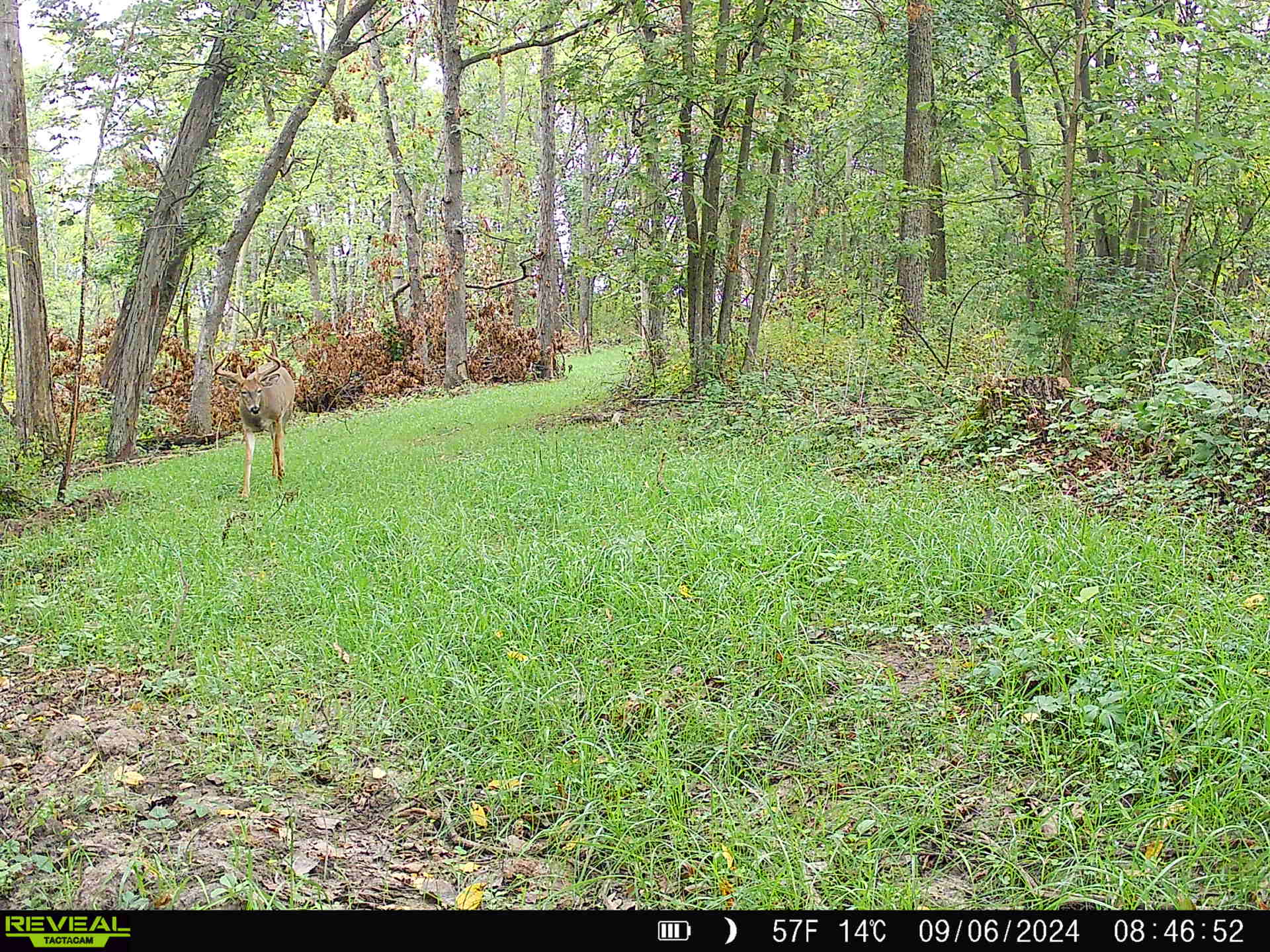 100 +/- Acre Ridge-Top Driftless Retreat in Crawford County WI