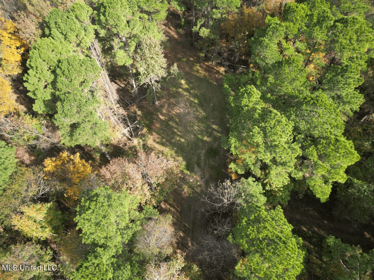 Roxie Mississippi – 94 Acre Recreational Retreat