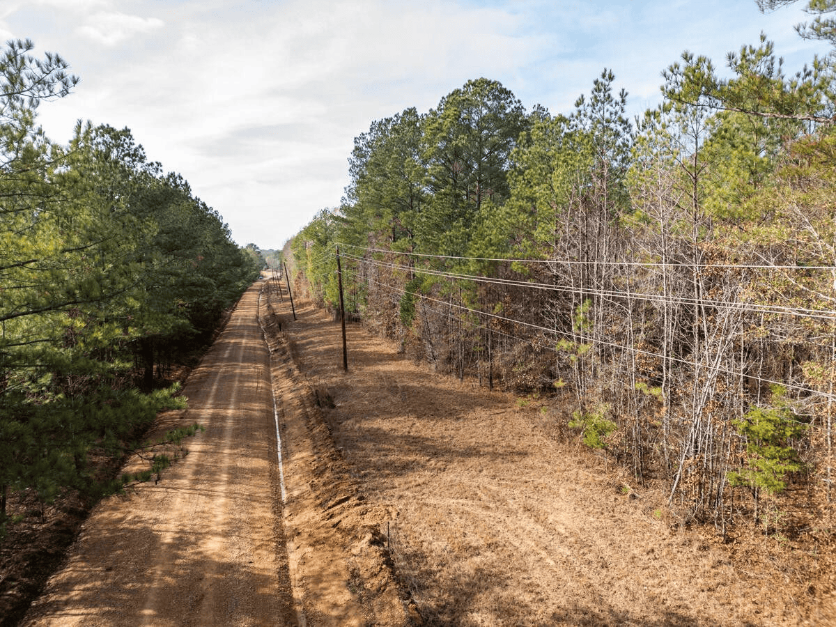 Timberland Farmland For Sale Clay County MS