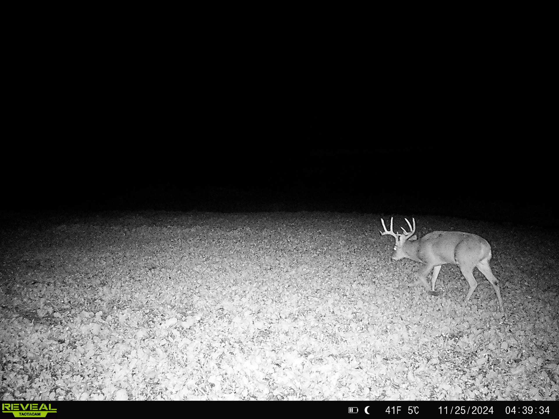 100 +/- Acre Ridge-Top Driftless Retreat in Crawford County WI