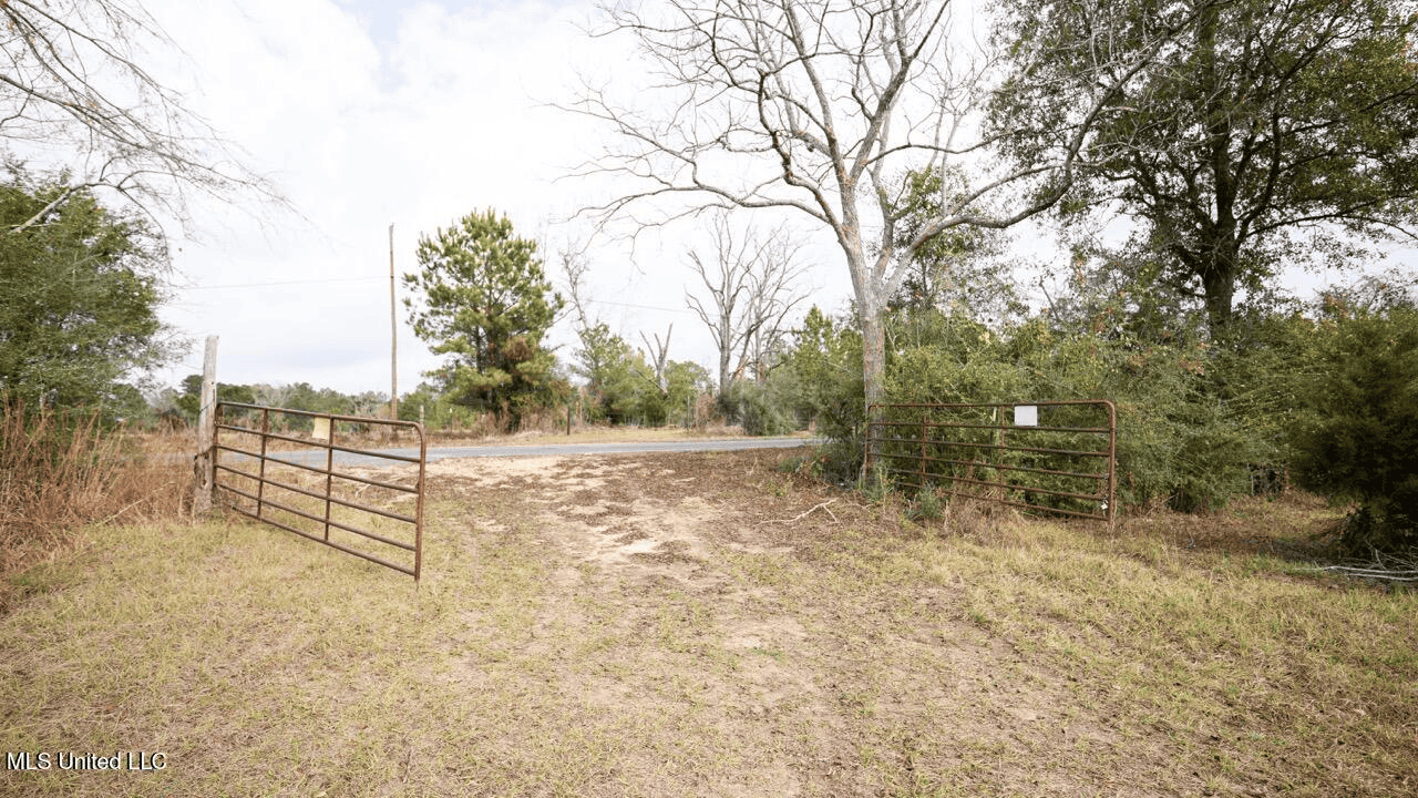 283± Acres for Sale Amite County, Mississippi