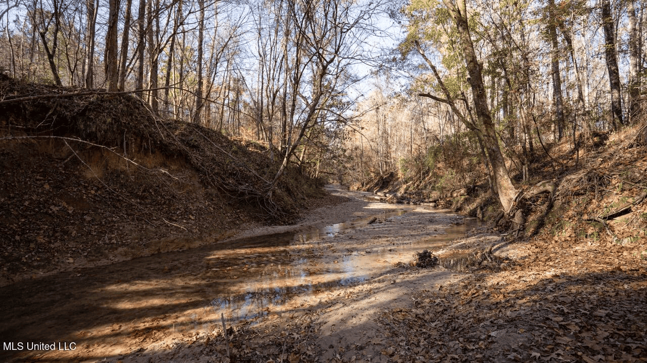 84.5 Acres in Woodville, MS on Hwy 24 with Creeks