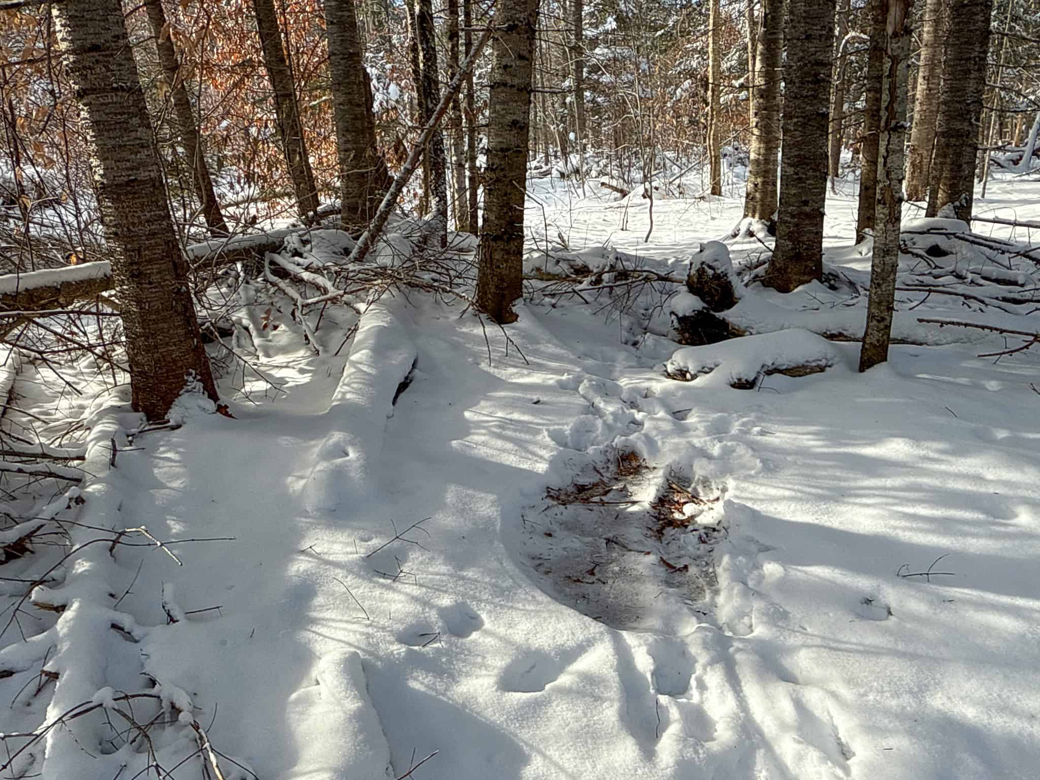 Private Home on 40 Acres – Stacyville, ME