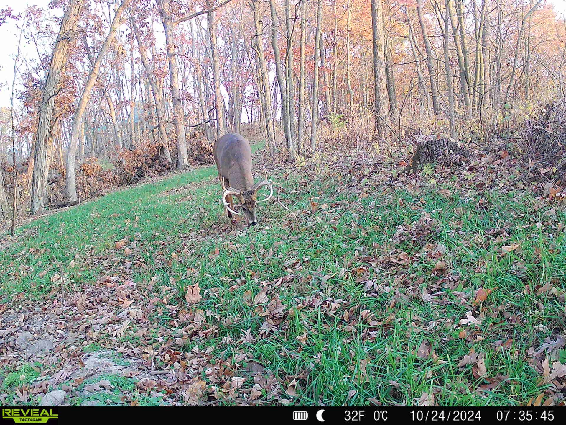 100 +/- Acre Ridge-Top Driftless Retreat in Crawford County WI