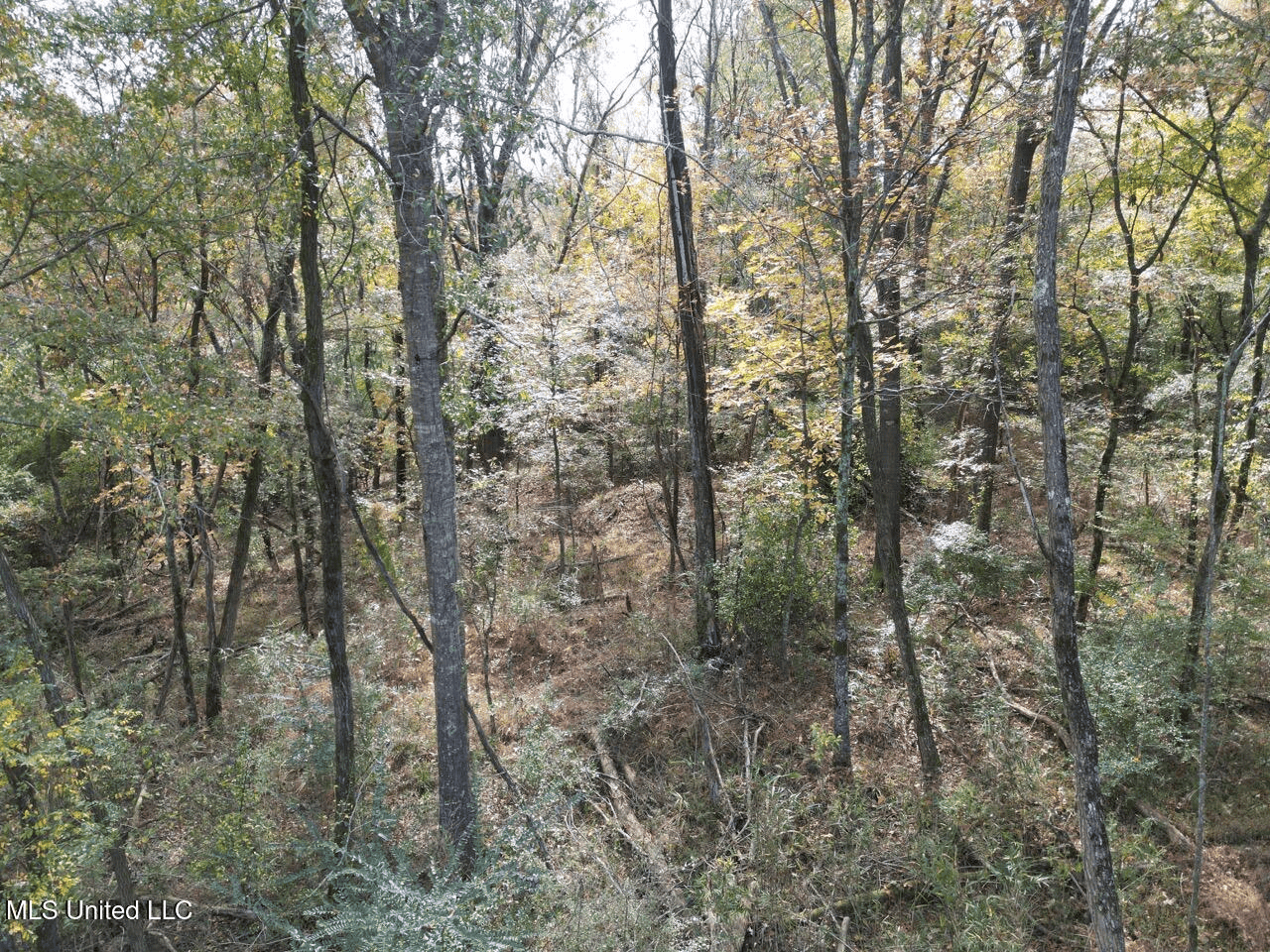 Roxie Mississippi – 94 Acre Recreational Retreat