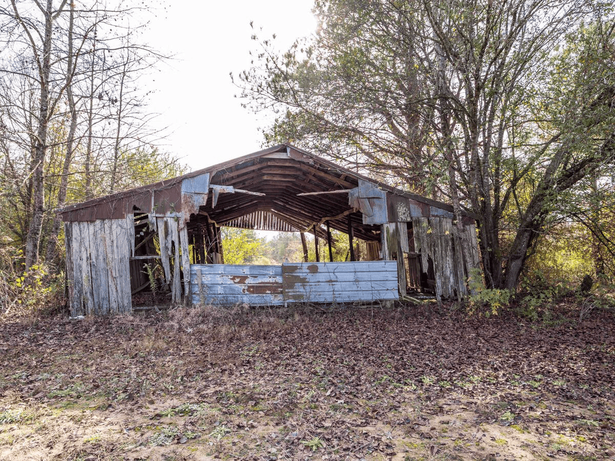 Timberland Farmland For Sale Clay County MS